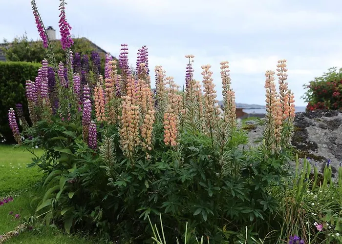 Sandve Gasthof Sandve